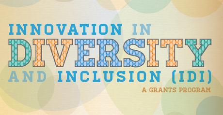 The Innovation in Diversity and Inclusion grants program