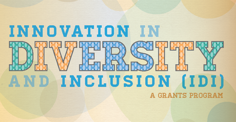 Innovation In Diversity And Inclusion Grant Recipients Complete Six ...